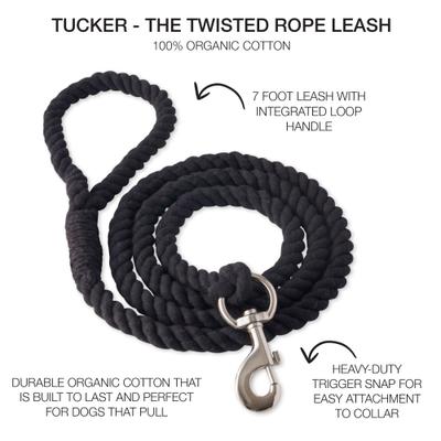 Show full view: Pet Passion Tucker Twisted Rope Dog Leash, Black, 7-ft long, 1-in wide slide 3 of 6