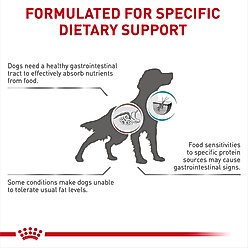 Royal Canin Veterinary Diet Multifunction Gastrointestinal Low Fat + Hydrolyzed Protein Dry Dog Food, 19.8-lb bag slide 2 of 9