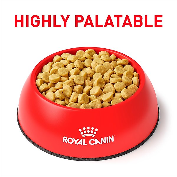 ROYAL CANIN VETERINARY DIET Multifunction Renal Support +