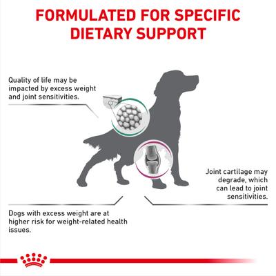 Show full view: Royal Canin Veterinary Diet Multifunction Advanced Mobility Support + Satiety Dry Dog Food, 26.4-lb bag slide 5 of 10