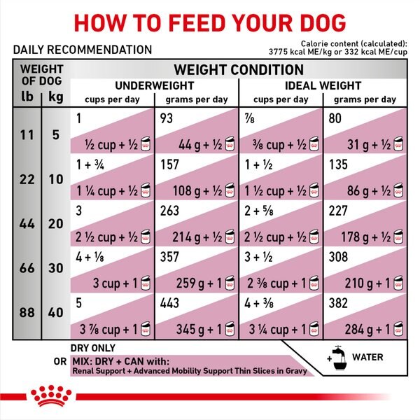Royal Canin Veterinary Diet Multifunction Renal Support + Advanced Mobility Support Dry Dog Food