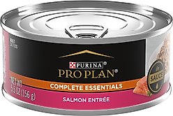 Purina Pro Plan Adult Salmon Entree in Sauce Canned Cat Food, 5.5-oz, case of 24