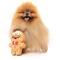 Show in main carousel: FuzzYard Christmas Mistle-Dough Dog Toy, Small, Brown slide 3 of 5