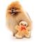 Show in main carousel: FuzzYard Christmas Biscuit Blader Dog Toy, Brown slide 4 of 4