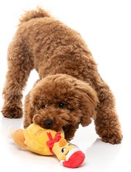 FuzzYard Christmas Never Skip Leg Day Chook Dog Toy, Yellow slide 2 of 4