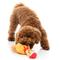 Show in main carousel: FuzzYard Christmas Never Skip Leg Day Chook Dog Toy, Yellow slide 3 of 4