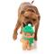 Show in main carousel: FuzzYard Christmas Holly Jolly Chillybread Dog Toy, Large, Green slide 3 of 6