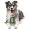 Show in main carousel: FuzzYard Christmas Brewdolph's NPA Dog Toy, Green slide 5 of 6