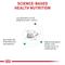 Show in main carousel: Royal Canin Veterinary Diet Multifunction Renal Support + Hydrolyzed Protein Dry Cat Food, 6.6-lb bag slide 4 of 10