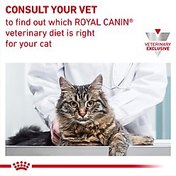 Royal Canin Veterinary Diet Multifunction Urinary SO + Satiety + Calm Loaf in Sauce Wet Cat Food, 5.1-oz can, case of 24 slide 2 of 9