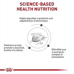 Royal Canin Veterinary Diet Multifunction Diet Gastrointestinal + Hydrolyzed Protein Dry Cat Food, 6.6-lb bag slide 2 of 8