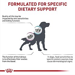 Royal Canin Veterinary Diet Multifunction Renal Support + Hydrolyzed Protein Dry Dog Food, 17.6-lb bag slide 2 of 8