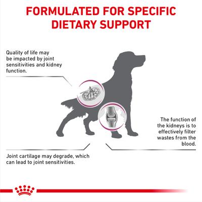 Show full view: Royal Canin Veterinary Diet Multifunction Renal Support + Advanced Mobility Support Dry Dog Food, 17.6-lb bag slide 5 of 10