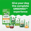 Show in main carousel: Greenies Regular Gingerbread Flavor Dental Dog Treats, 6-oz, 6 count slide 10 of 10