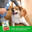 Show in main carousel: Greenies Regular Gingerbread Flavor Dental Dog Treats, 6-oz, 6 count slide 5 of 10