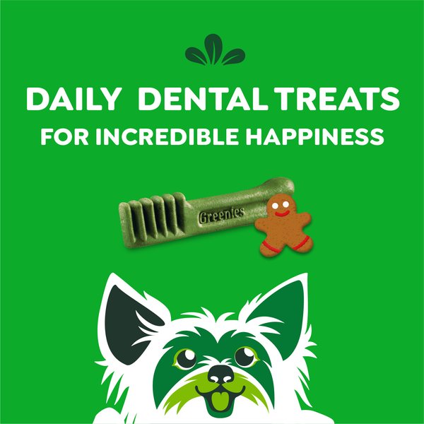 Show full view: Greenies Teenie Gingerbread Flavor Dental Dog Treats, 6-oz, 22 count slide 8 of 10