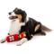 Show in main carousel: FuzzYard Christmas Merry & Bright Chompagne Dog Toy, Red slide 3 of 5