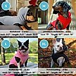 Show in main carousel: Gooby Fleece Vest Dog Hoodie, Black, X-Large slide 5 of 5