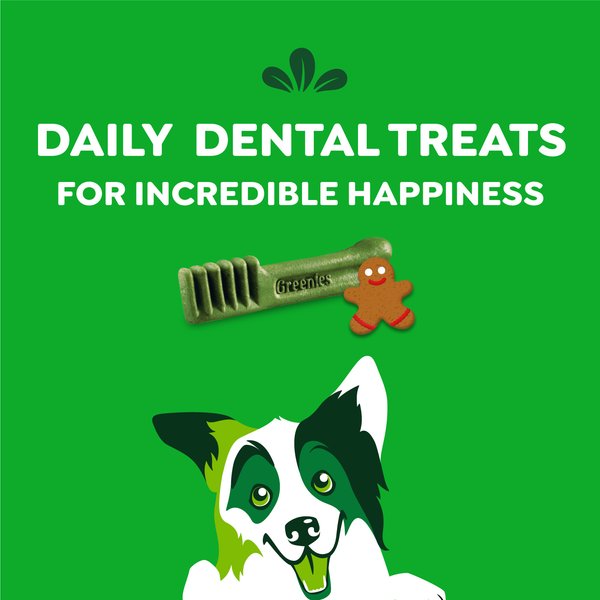 Show full view: Greenies Regular Gingerbread Flavor Dental Dog Treats, 6-oz, 6 count slide 8 of 10