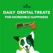 Show in main carousel: Greenies Regular Gingerbread Flavor Dental Dog Treats, 6-oz, 6 count slide 8 of 10