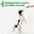 Show in main carousel: Greenies Teenie Gingerbread Flavor Dental Dog Treats, 6-oz, 22 count slide 9 of 10