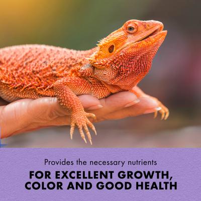 Show full view: Zilla Bearded Dragon Food, 6.5-oz bottle slide 4 of 10