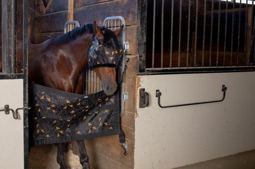 Show full view: Mackey Equine Accessories Bee Mine Horse Stall Guard, Black/Yellow slide 9 of 9