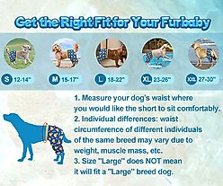 CuteBone Dog Swim Trunks, Blue/Yellow, X-Large slide 2 of 9