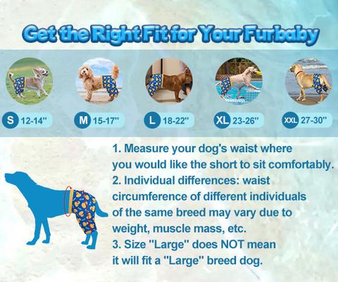 Show full view: CuteBone Dog Swim Trunks, Blue/Yellow, Small slide 9 of 9