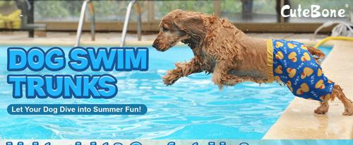 Show full view: CuteBone Dog Swim Trunks, Blue/Yellow, Small slide 7 of 9