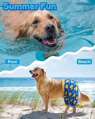 Show full view: CuteBone Dog Swim Trunks, Blue/Yellow, Small slide 6 of 9