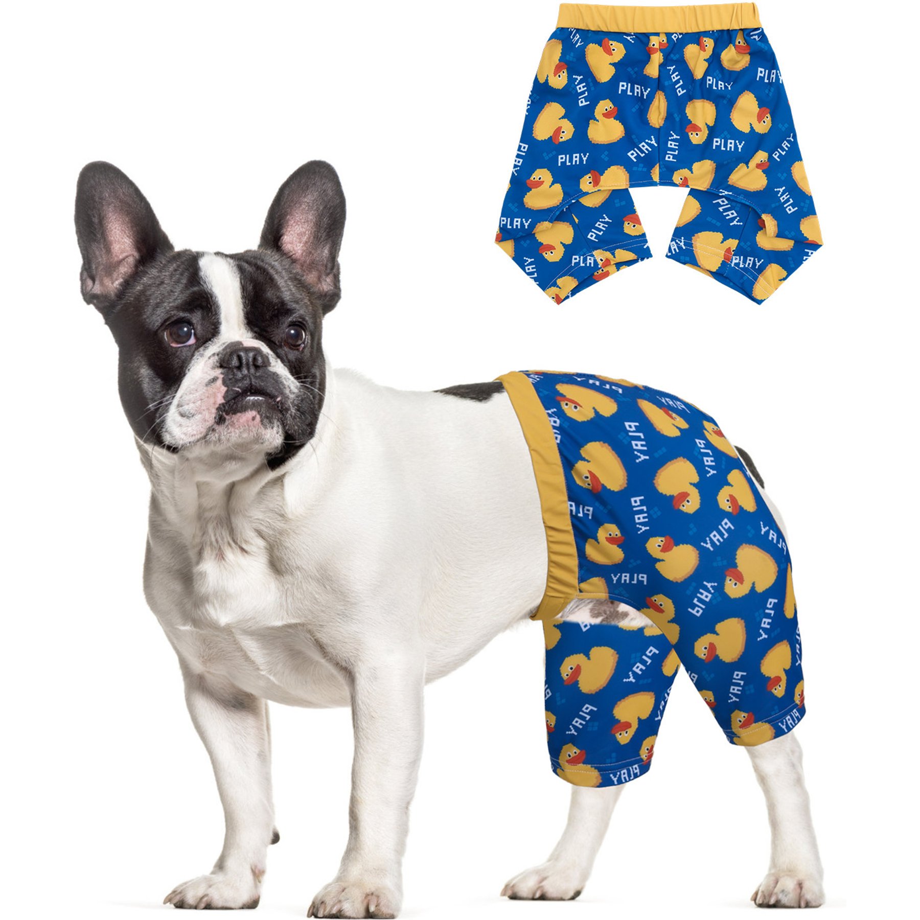 CuteBone Dog Swim Trunks, Blue/Yellow, Medium
