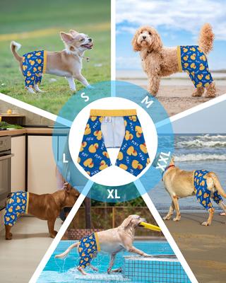 Show full view: CuteBone Dog Swim Trunks, Blue/Yellow, Small slide 4 of 9
