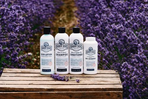 Show full view: Barn Dog All Natural Dog Dry Shampoo, 16-fl oz bottle slide 9 of 10