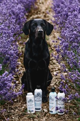 Show full view: Barn Dog All Natural Dog Dry Shampoo, 16-fl oz bottle slide 7 of 10