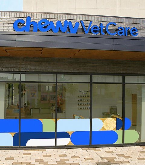 Chewy Vet Care 9+CO