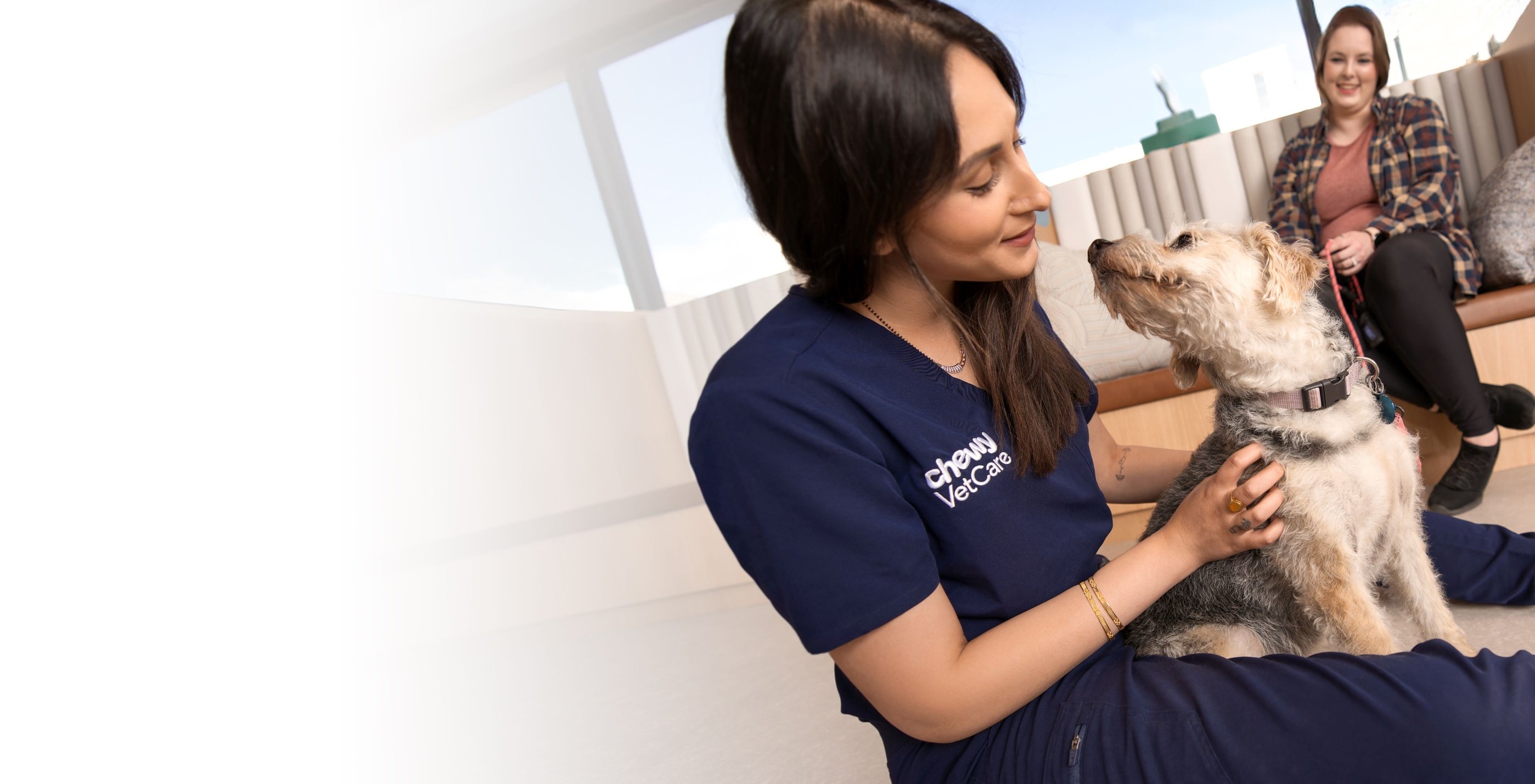 A veterinary professional playing with a dog