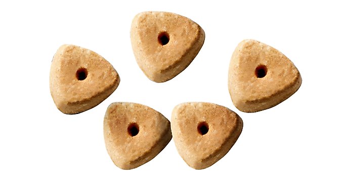 Nutro Crunchy with Real Mixed Berries Dog Treats