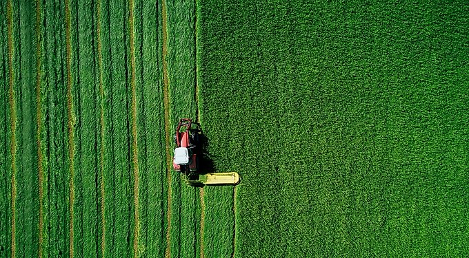 Nutro Natural Choice Healthy Weight Adult Lamb & Brown Rice Recipe Dry Dog Food