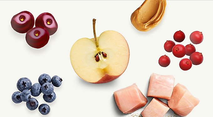 Nutro Crunchy with Real Mixed Berries Dog Treats