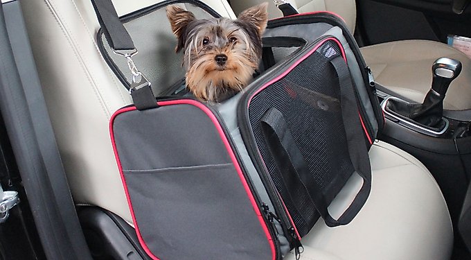 Jespet Soft-Sided Dog & Cat Carrier Bag