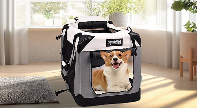Jespet Soft-Sided Dog & Cat Carrier Bag