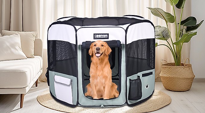 Jespet Soft-Sided Dog & Cat Carrier Bag