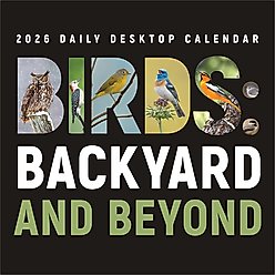 2026 Birds: Backyard & Beyond Daily Desktop Calendar slide 2 of 6