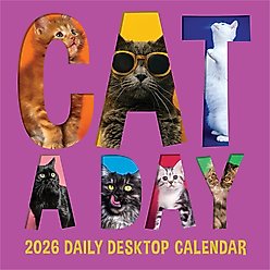 2026 Cat A Day Daily Desktop Calendar slide 2 of 6