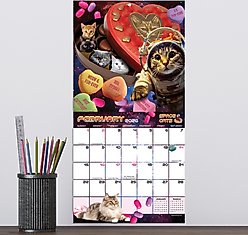 2026 Space Cats Mini Calendar slide 2 of 5