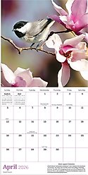 2026 Backyard Birds Mini Calendar