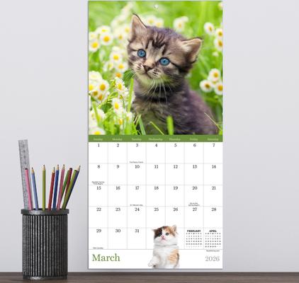 Show full view: 2026 Kittens Mini Calendar slide 4 of 5