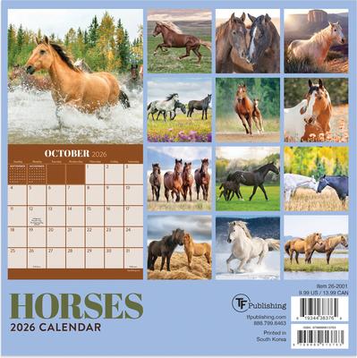 Show full view: 2026 Horses Mini Calendar slide 2 of 5
