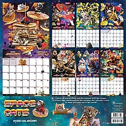 2026 Space Cats Wall Calendar slide 2 of 5